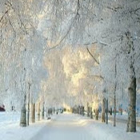 snowrunnerlk